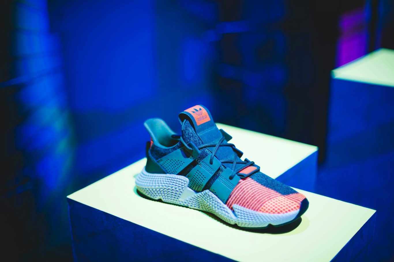 Sneaker reinigen lassen Sneaker von Textilreinigung reinigen lassen